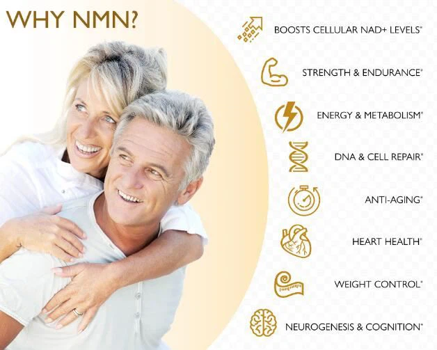 Nicotinamide Mononucleotide Powder Benefits
