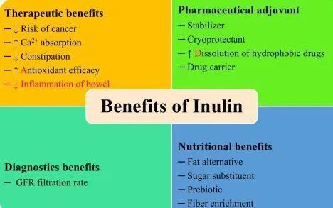 Inulin health benefits