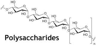 Polysaccharides Polysaccharides