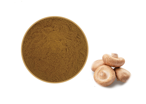 shiitake mushroom extract shiitake mushroom extract