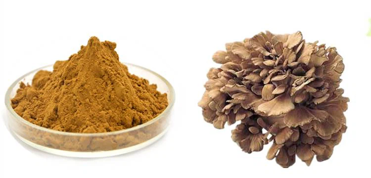 maitake polysaccharide maitake polysaccharide