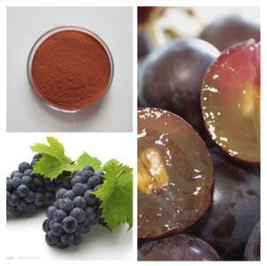 אבקת זרעי ענבים אורגניים