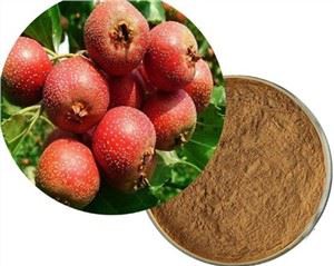 תמצית עוזרר