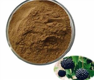 אבקת ג'ינסנג סיבירי