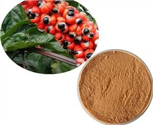 תמצית זרעי פאוליניה קופאנה