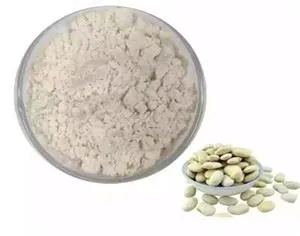 תמצית Phaseolus Vulgaris