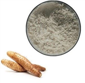 אבקת תמצית Wild Yam