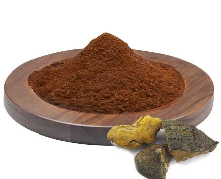 תמצית Phellinus Linteus